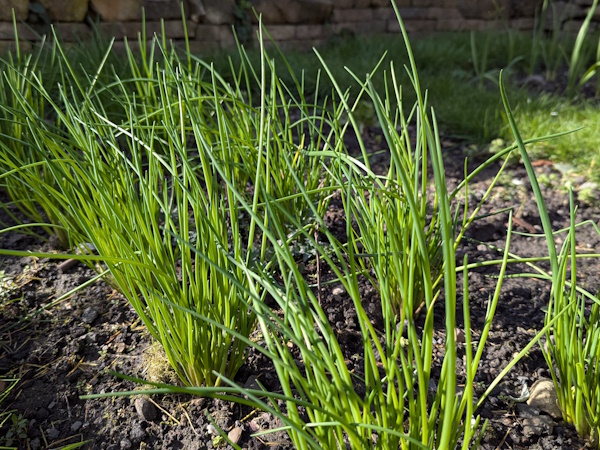 Use great tips to harvest your hard earned crops